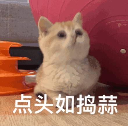 DƬ